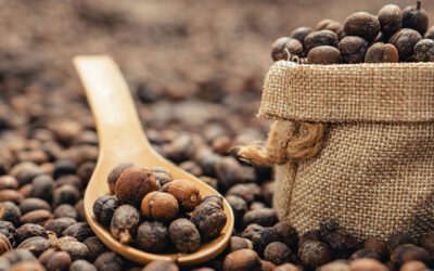 Un nuevo futuro para nuestro café