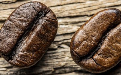 Hablemos de café arábica