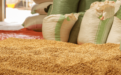 En Venezuela también se produce café arábica