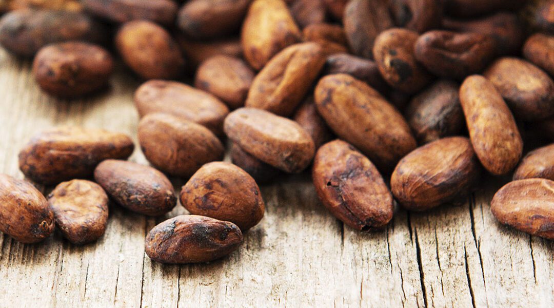 Cakawa ofreció sabores y aromas de nuestra tierra con la colección “El país del cacao”