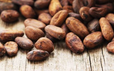 Cakawa ofreció sabores y aromas de nuestra tierra con la colección “El país del cacao”
